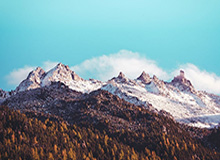 百家乐官网-【足协杯】鲁能总比分6比0卓尔晋级 决赛对阵苏宁