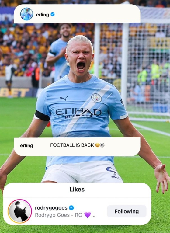 哈兰德更新社媒庆祝英超开门红，罗德里戈点赞